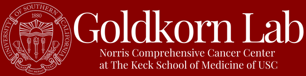 Goldkorn Laboratory logo