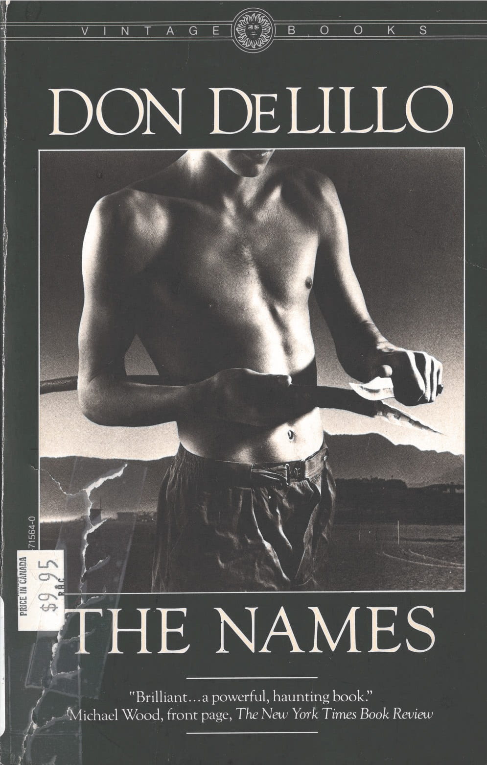 Cover of The Names by Don DeLillo. A shirtless man holds a stick that he is sharpening into a spear.