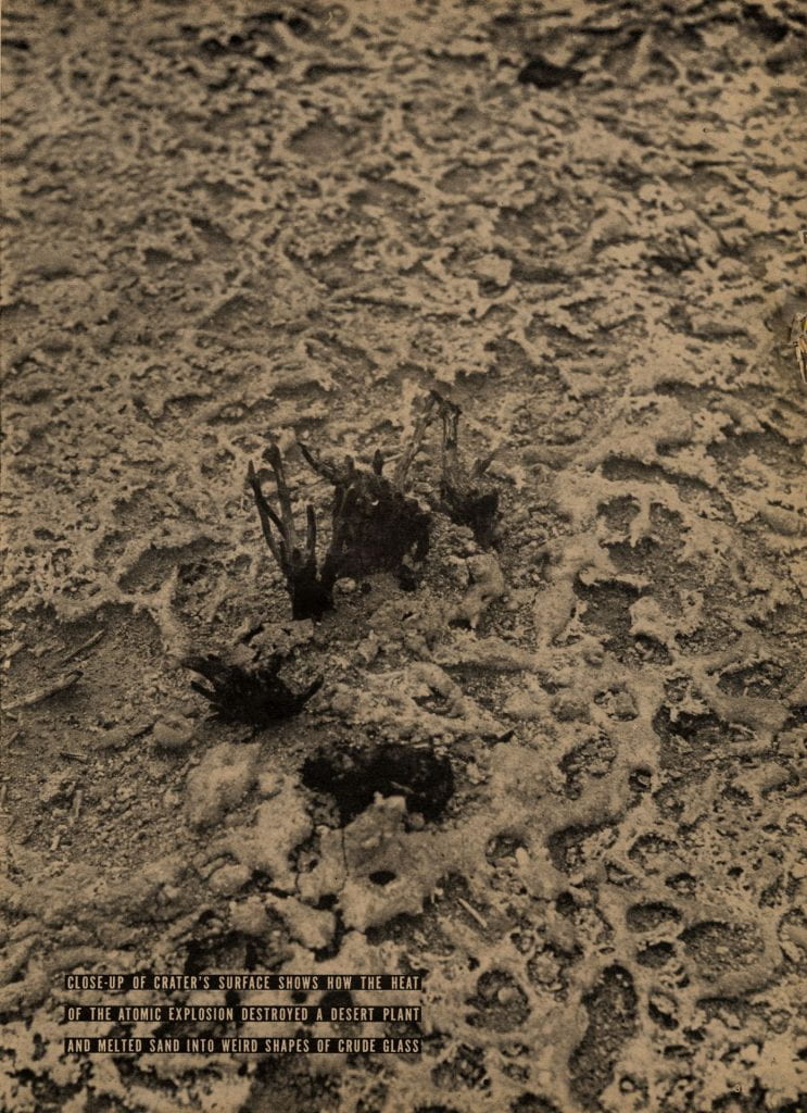 Image reads, "Close-up of crater's surface shows how the heat of the atomic explosion destroyed a desert plant and melted sand into weird shapes of crude glass"