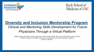 1e. Health Equity Focus: Clinical and Mentoring Skills Development for Future Physicians Through a Virtual Platform