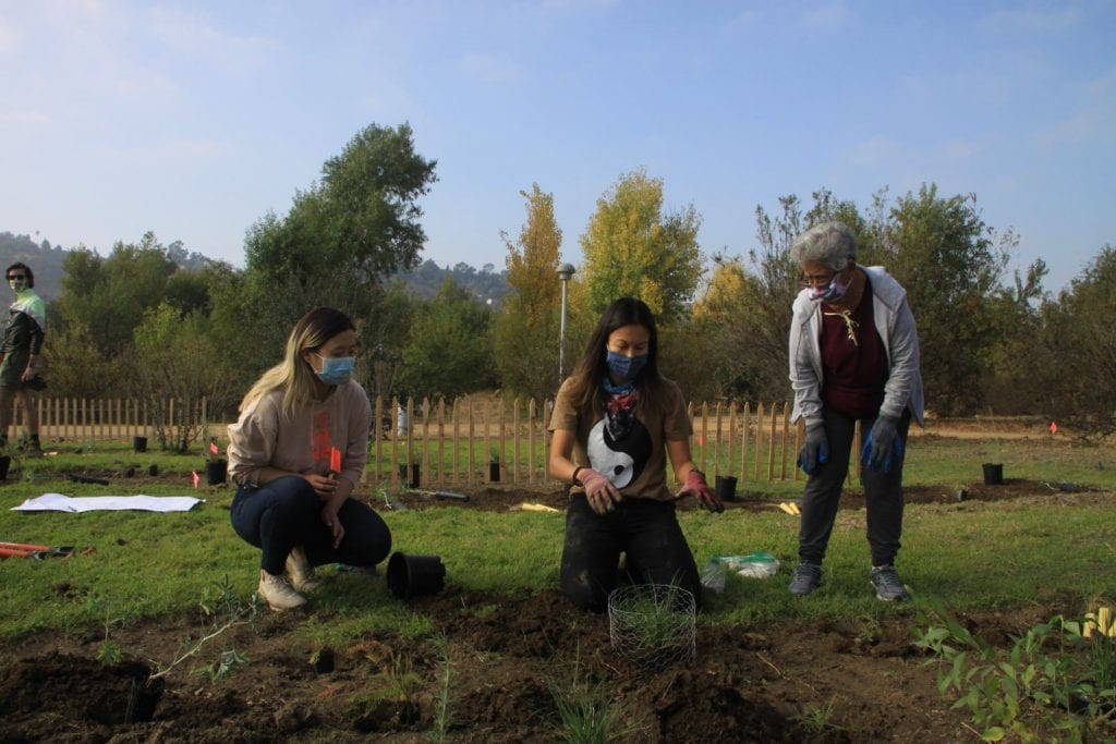 Photo of a student, professor, and community member working at a plot.
