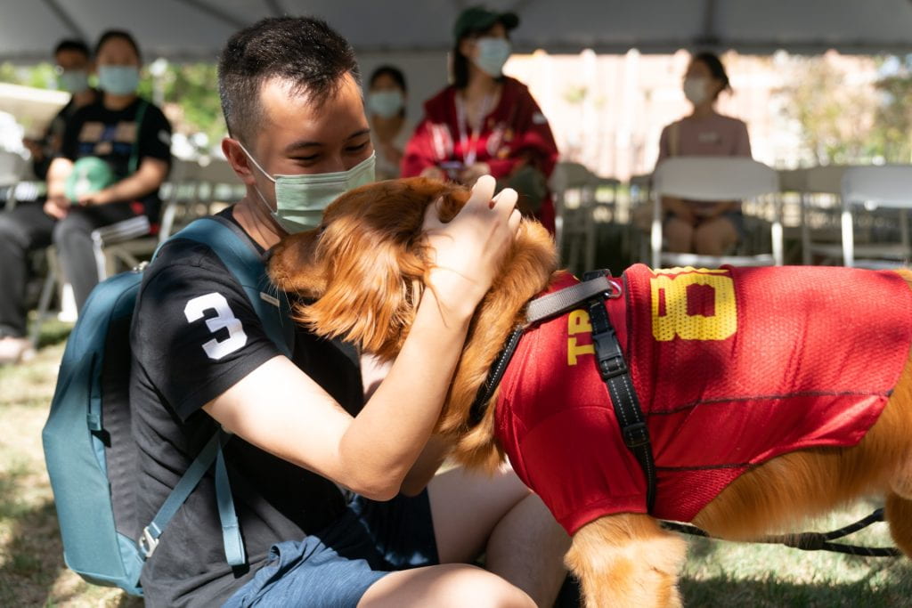 Student with wellness dog at USC