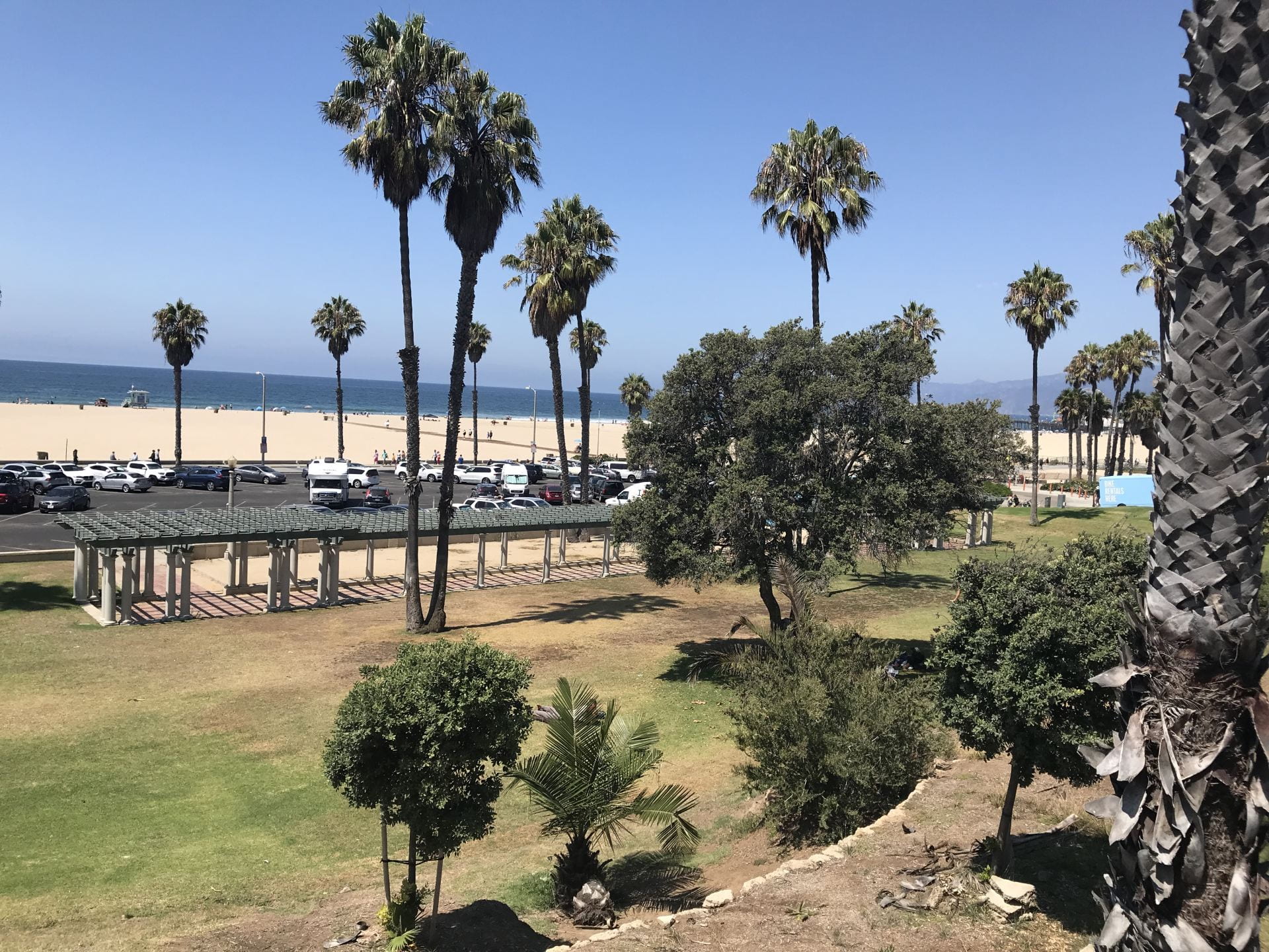 Wide view of a park with palm trees, pergola, and the beach and ocean in the background.