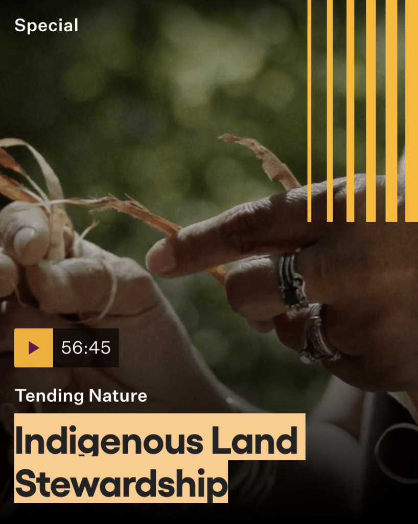 Image of video with video background of hands doing weaving, with the video length time of 56.45 minutes titled trending nature Indigenous Land Stewardship